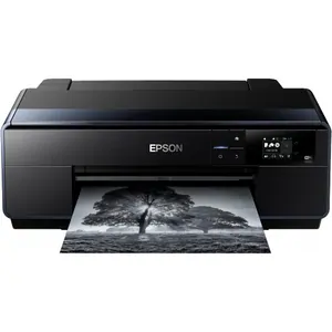 Замена памперса на принтере Epson SureColor SC-P600 в Краснодаре